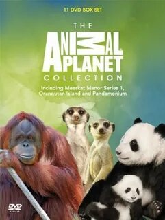 Включи animal planet