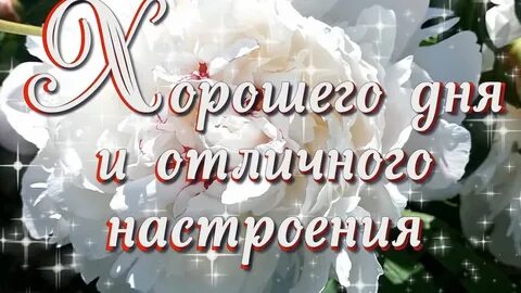 Красивая музыкальная открытка хорошего дня