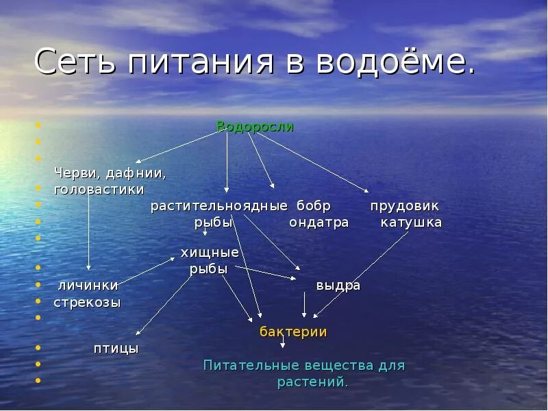 Схема цепи питания жизнь в пресных водах Природное сообщество пруда презентация онлайн