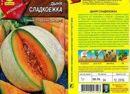 Дыня сережкина любовь