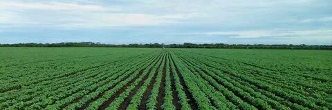 Farming day