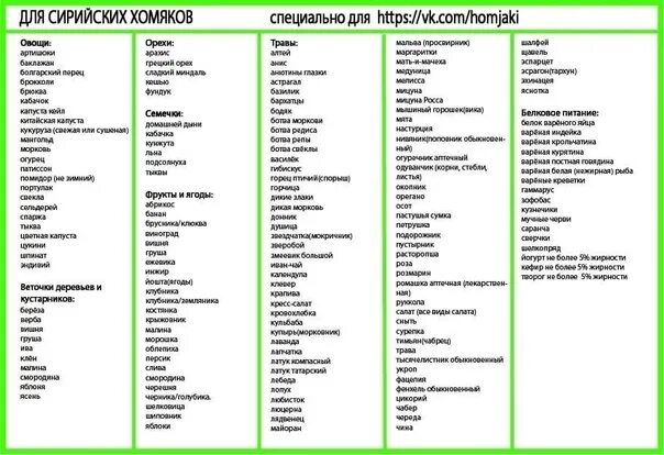 Что можно хомякам список. Список продуктов для хомяков сирийских. Какие продукты можно хомякам. Какую еду можно давать хомякам. Рацион питания сирийских хомяков.