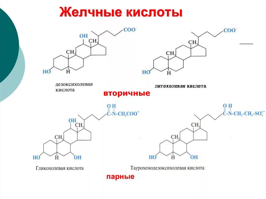 Дезоксихолевая желчная кислота. Формула дезоксихолевой кислоты. Дезоксихолевая кислота формула структурная. Холевая кислота формула. Вторичные желчные кислоты