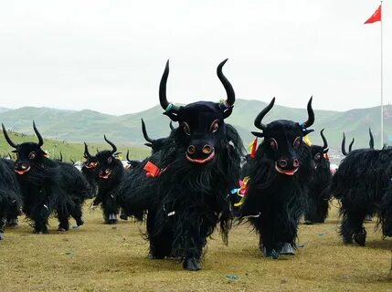 Яки яки яки ми