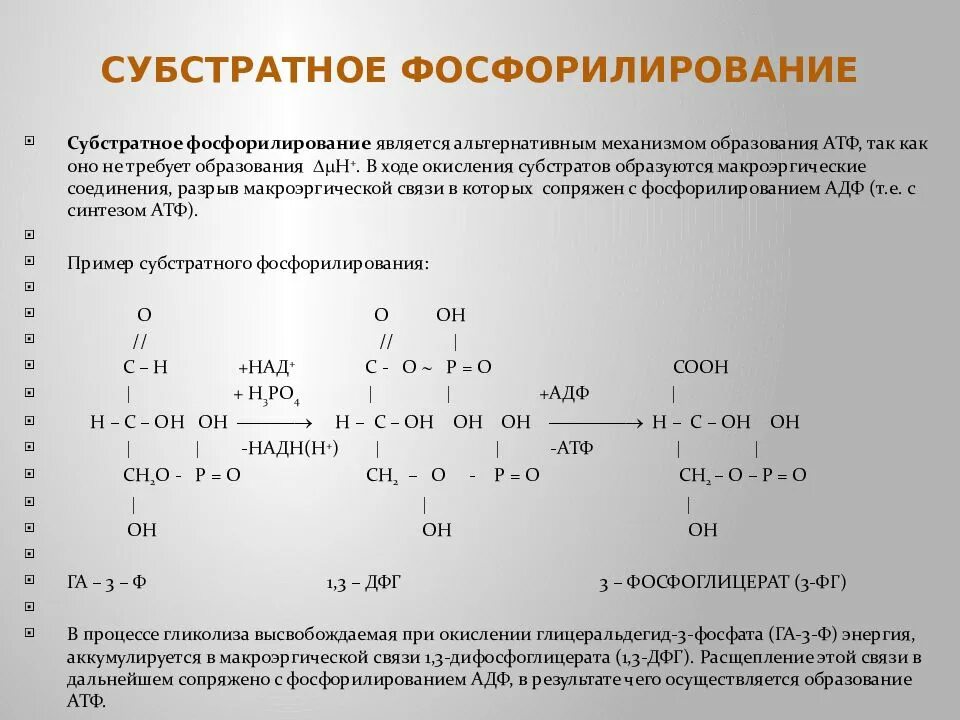 32 атф. Реакции субстратного фосфорилирования. Субстратное фосфорилирование. Реакция субстратного фосфорилирования в цикле Кребса. Реакции субстратного фосфорилирования в гликолизе.