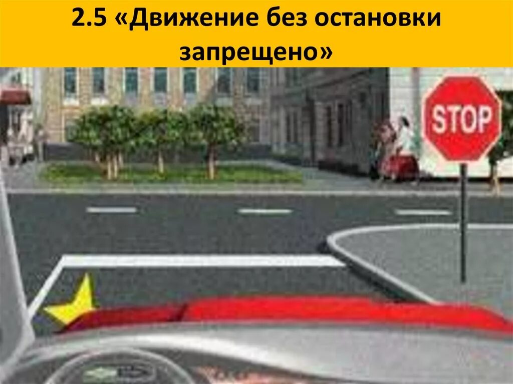 М5 движение. Стоп линия разметка 1.12. Разметка 1.13 на дороге. Знак стоп и стоп линия. Дорожные знаки перед перекрестком.