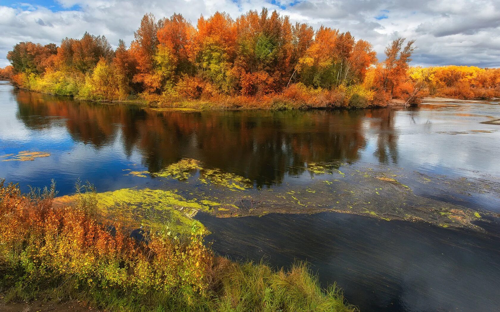 Природа осень. Река в осеннем лесу. Красота осенней реки. Поназырево осень река. Осень озеро.
