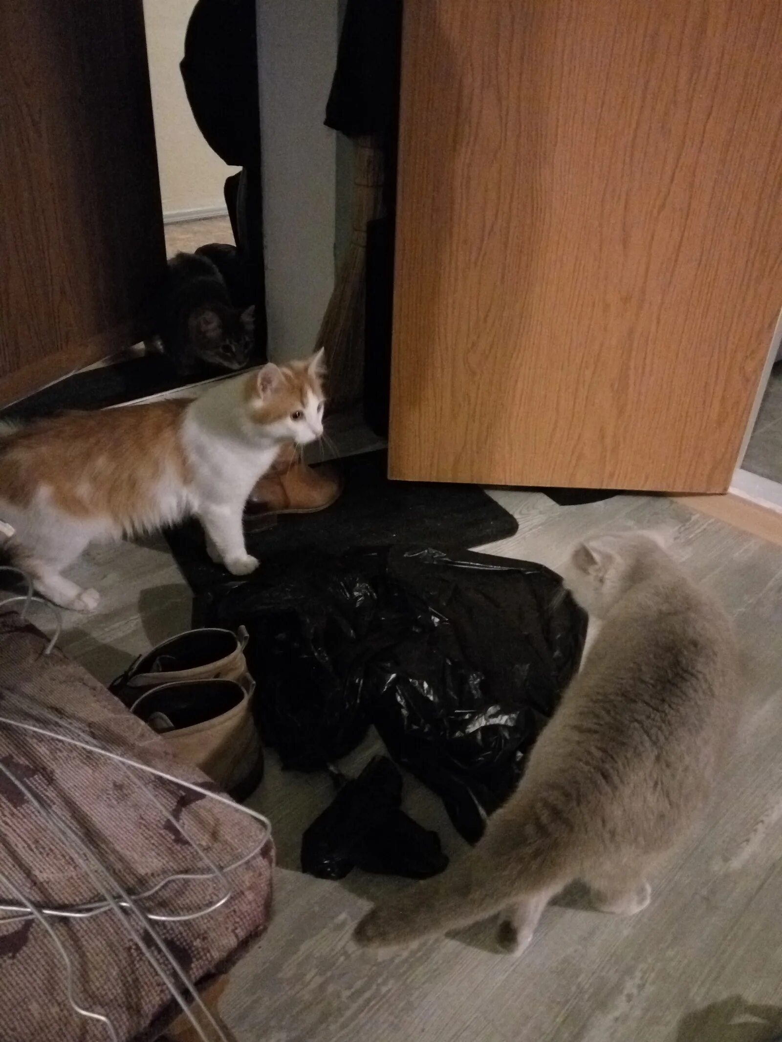 Cat neighbor is. Игра злой сосед. Zoo neighbor escape. Ковбой сосед. Ковбой сосед.