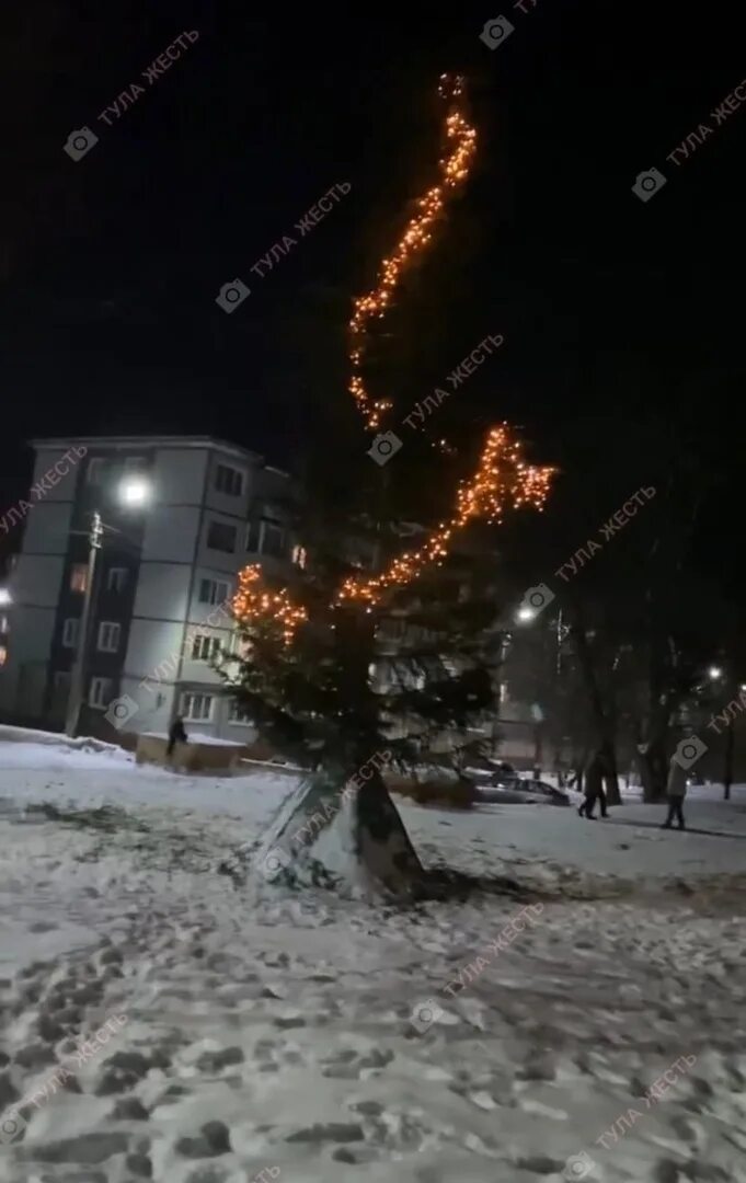 Хоррор тула. Страшная елка в Гаджиево. Ужасная елка в Нижнетроицком в 2022 году. Жечь Тула монстр. Тула жесть в ночь 30 на 31 января.