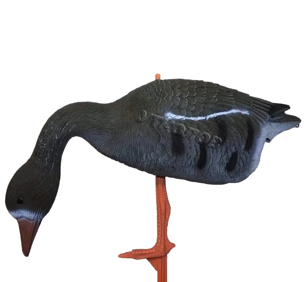 Голова гуся полукорпусного от производителя. Подушка гусь во весь рост. Чучела гусей greenhead. Гусиные чучела гринхед. Кк сделать голову на полукорпусное чучело гуся.