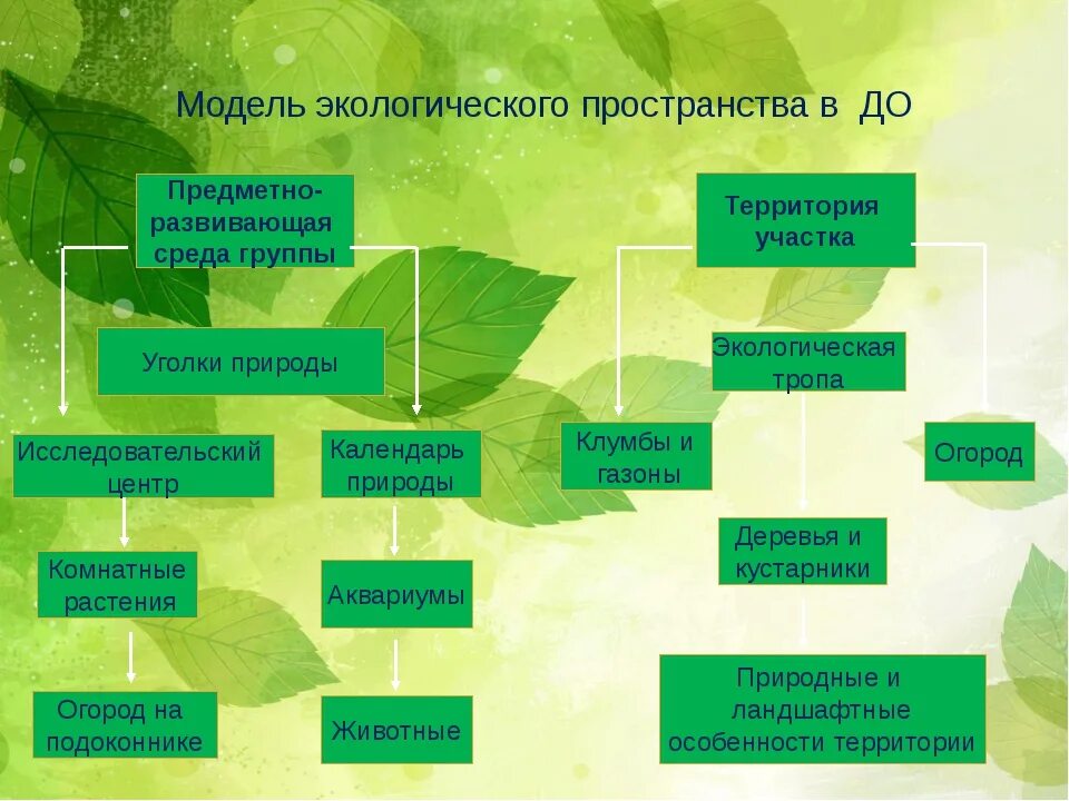 Средства экологического образования. Экологическое воспитание схема. Разделы экологии для дошкольников. Модель экологического воспитания. Экологическое пространство в ДОУ.