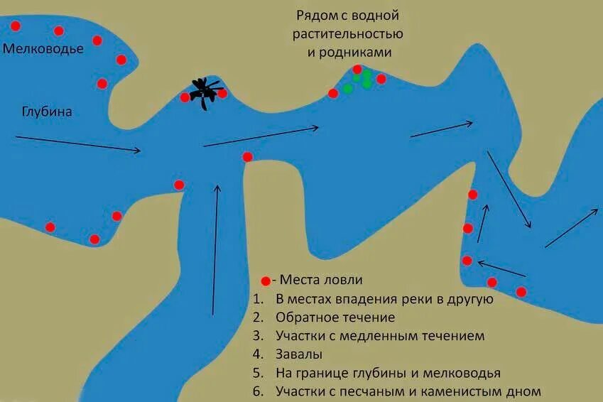 Места лова рыбы. Выбор мечта для рыбалки. Места стоянки рыбы на реке. Перспективные места для рыбалки на реке. Перспективные места ловли рыбы на реке.