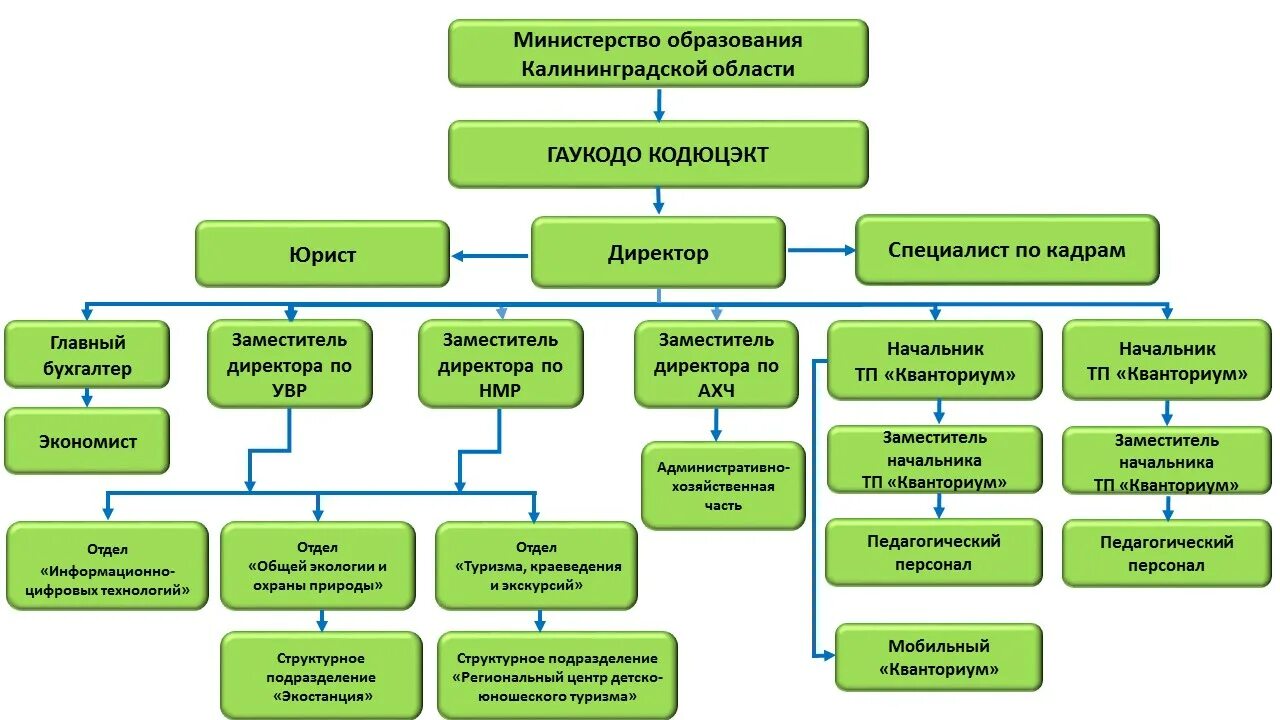 Что является органом управления предприятия. Организационная структура кванториум. структура управления детского центра. организационная структура детского центра. структура детского технопарка.