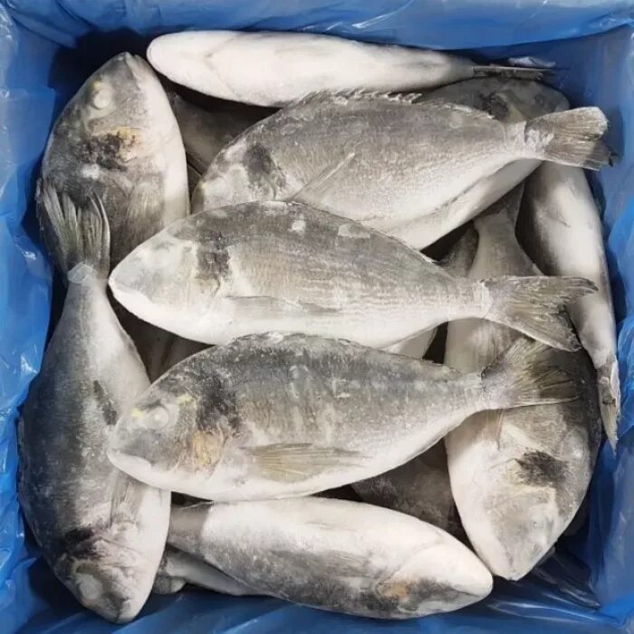 Дорадо рыба. Морской карась дорадо. Дорадо это морской лещ. Дорадо 300-400. Дорадо свежемороженая.