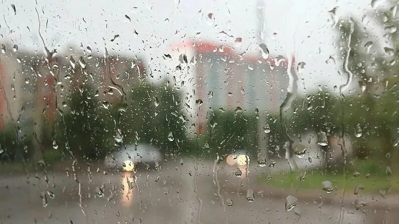 Умеренный дождь. Дождливый день. Дождливый город. Дождливо в июле.