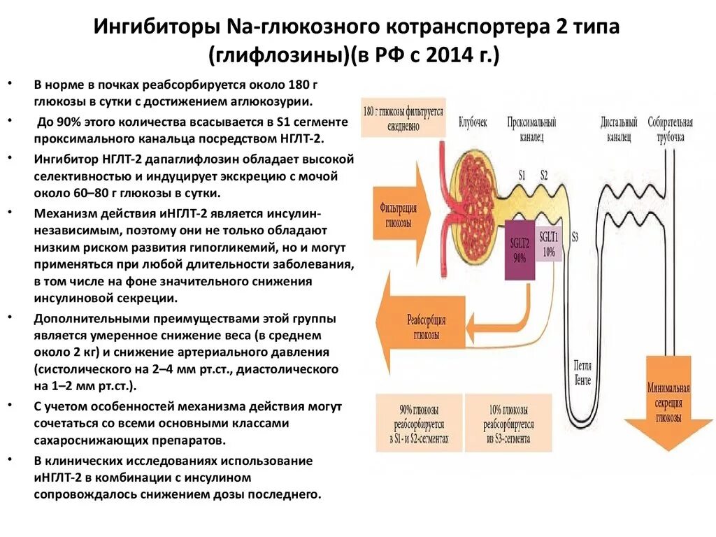 Ингибиторы при хсн