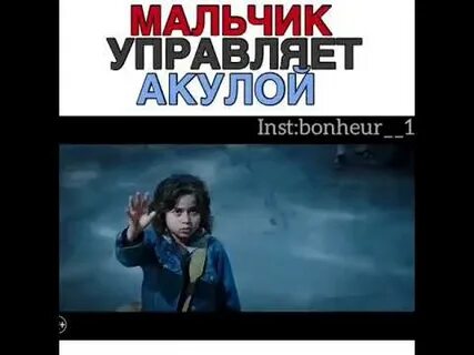 Акула спасла мальчика