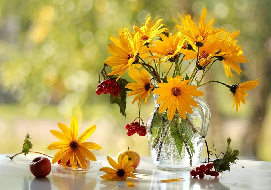 осеннее солнце. солнечная осень. солнечного утра сентября. осеннее солнце. природа солнце.