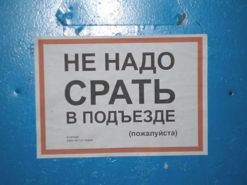 Срать насрать. Смешные надписи в подъездах. Не гадить в подъезде. Прикольные таблички в подъезд. Смешные объявления и надписи.