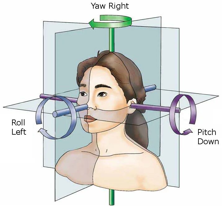 Yaw roll. Roll Pitch yaw. Ролл питч яв. Плоскости челюсти Roll Pitch yaw. Ось Roll.