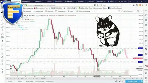 Курс хомяка в рублях сейчас