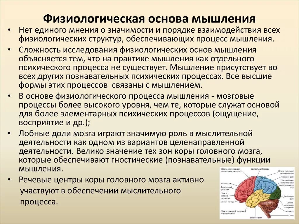 Физиологические основы процесса. Мышление физиология. Физиологические механизмы мышления. Мышление. Физиологические основы мышления. Физиологические особенности мышления.