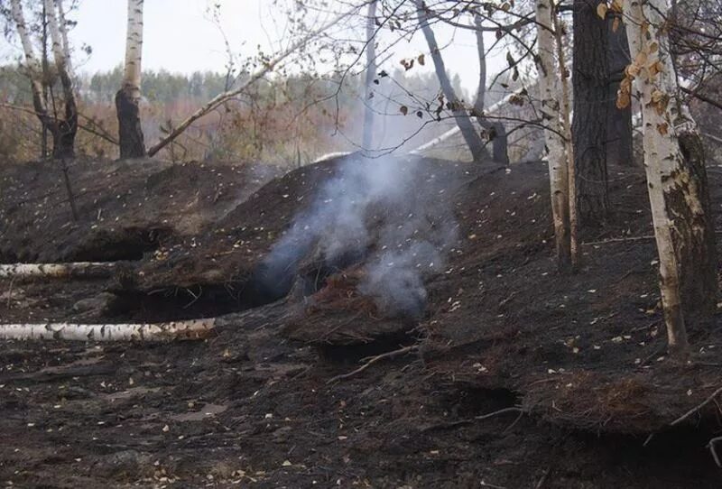 Горение гарь. Подземный торфяной Лесной пожар. Торфяные пожары одноочаговые. Многоочаговый торфяной пожар. Подземный пожар торфа.