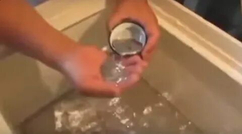 Едят ртуть