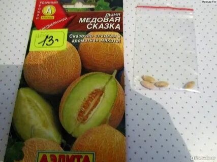 Дыня лакомка