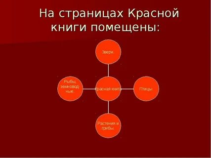 Красный категория