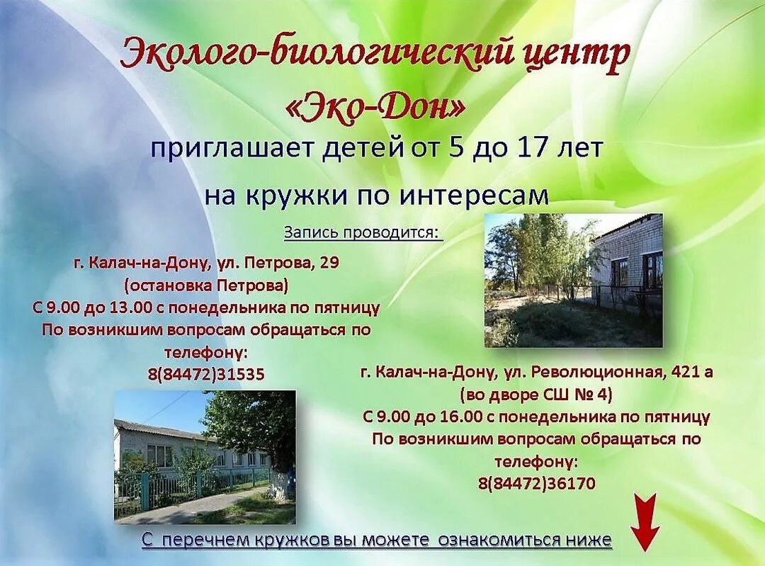 Дон эко ростов на дону сайт