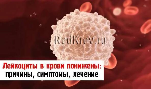 Почему пониженные лейкоциты в крови у женщин. Лейкоциты в крови понижены. Понижение лейкоцитов в крови. Пониженные лейкоциты в крови у женщин причины. Причины низких лейкоцитов.