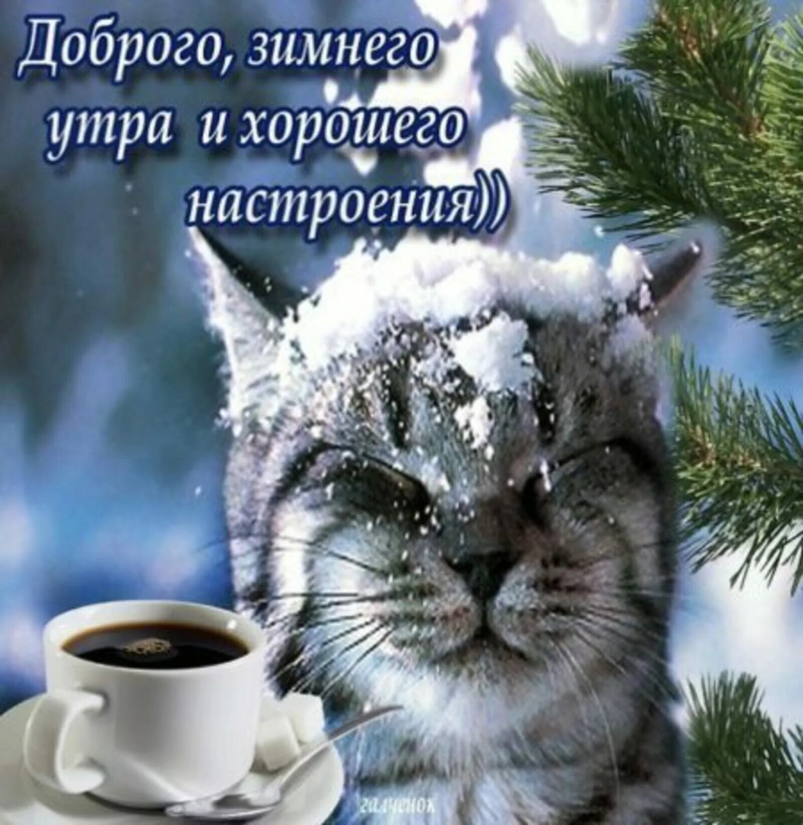картинка найдено пользователем Naina. Находите (и сохраняйте!) свои собственные 