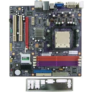Amd m2