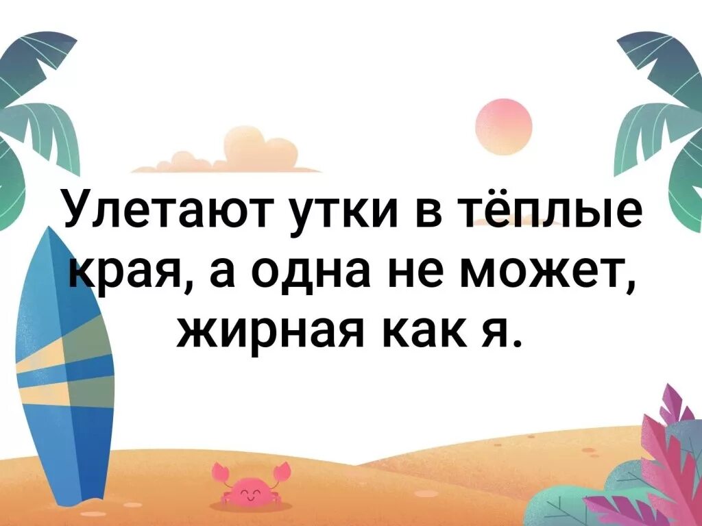 улетают утки в теплые. кот на пляже. высказывания о лете прикольные. улетают утки в теплые края а одна не может жирная как я. хочется лета цитаты.