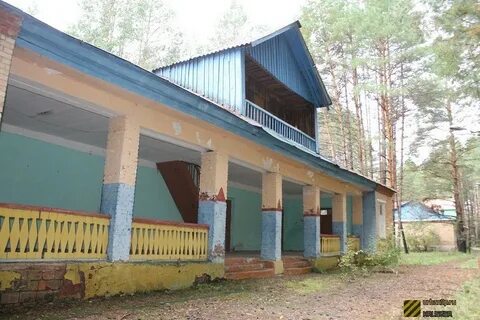 Сосновый бор пионерский