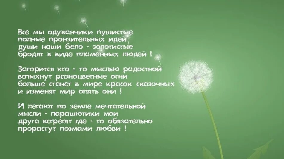 Одуванчик цитаты. Стих про одуванчик. высказывания про одуванчики. афоризмы про одуванчики. стих про одуванчик для дошкольников.