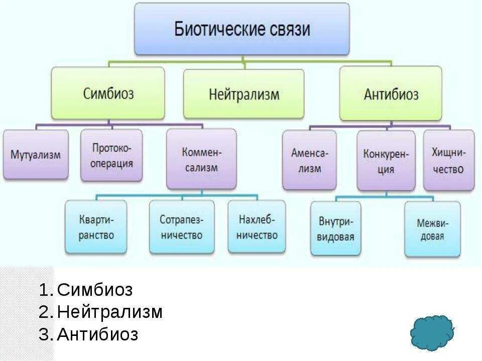 Какие организмы вступают в симбиотические отношения. Типы взаимоотношений нейтрализм симбиоз. Формы симбиоза таблица. Формы взаимодействия симбиоз. Взаимоотношения между организмами схема.