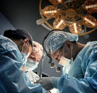 Жетілген есек