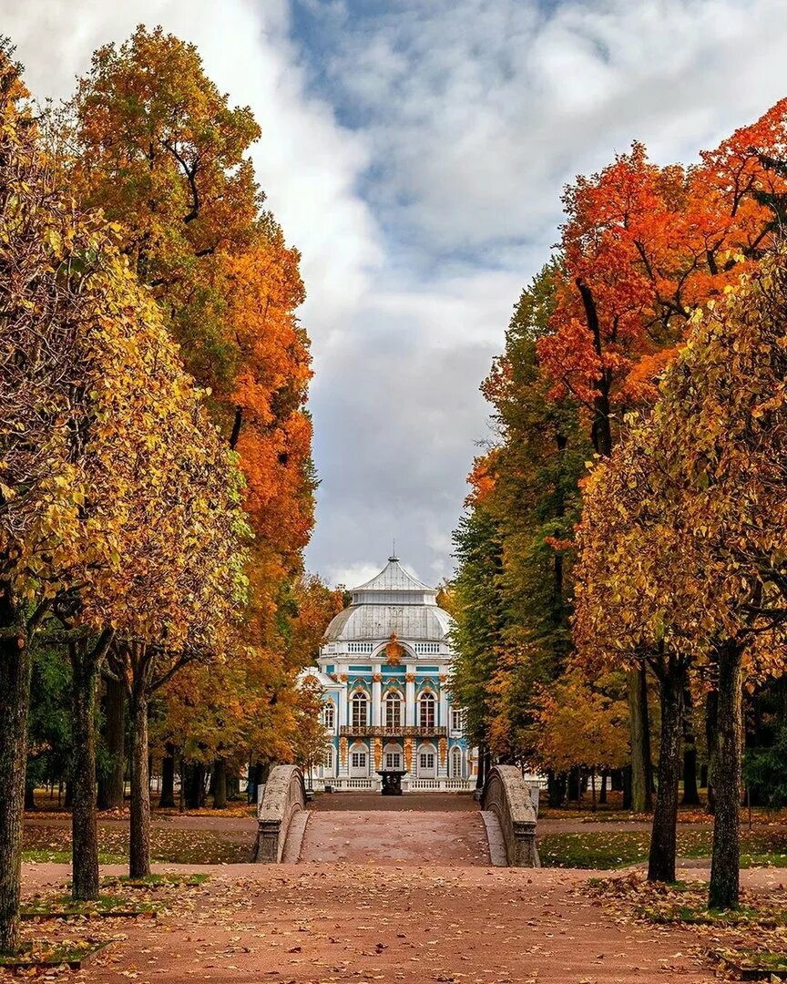 Ораниенбаум в золотую осень. Город пушкин царское село осень. Приоратский дворец и парк в гатчине. Парк гатчинского дворца осенью. Японский павильон большого дворца в ораниенбауме.