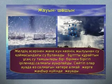 Жігіттер боқ болғанша есектің ішіне кіріп кетеді