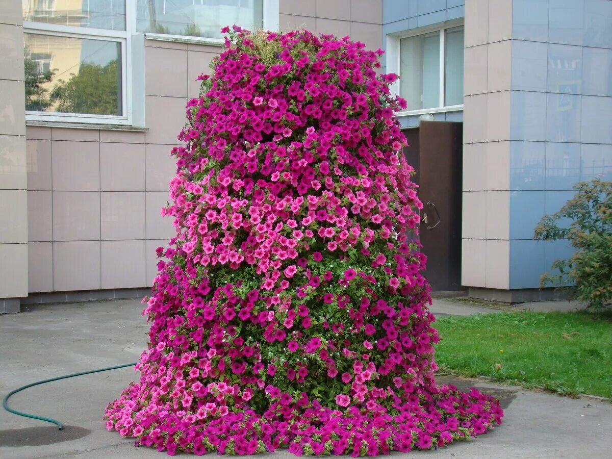 HugeDomains.com Garden containers, Flower tower, Impatient flowers