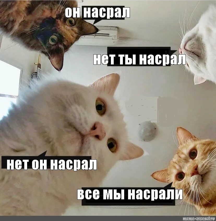 Hello what happens