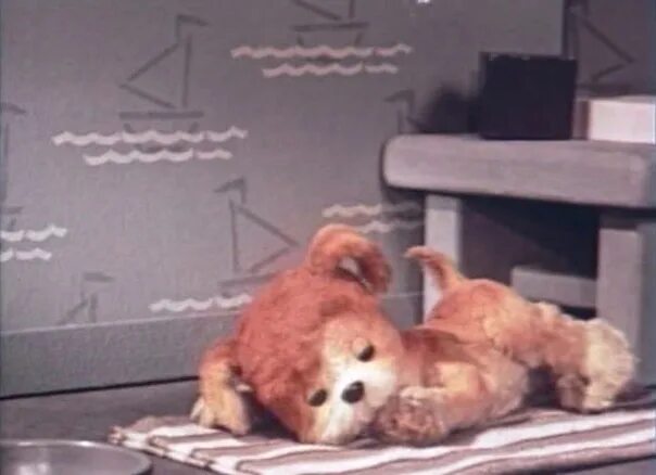 Сказал мяу видео. Сказал мяу видео. Сказал мяу видео. Кто сказал "мяу"?. Сказал мяу видео.