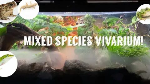 Species mix