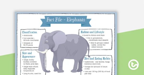Fact file. Elephant fact file. animal fact file. fact file животные.