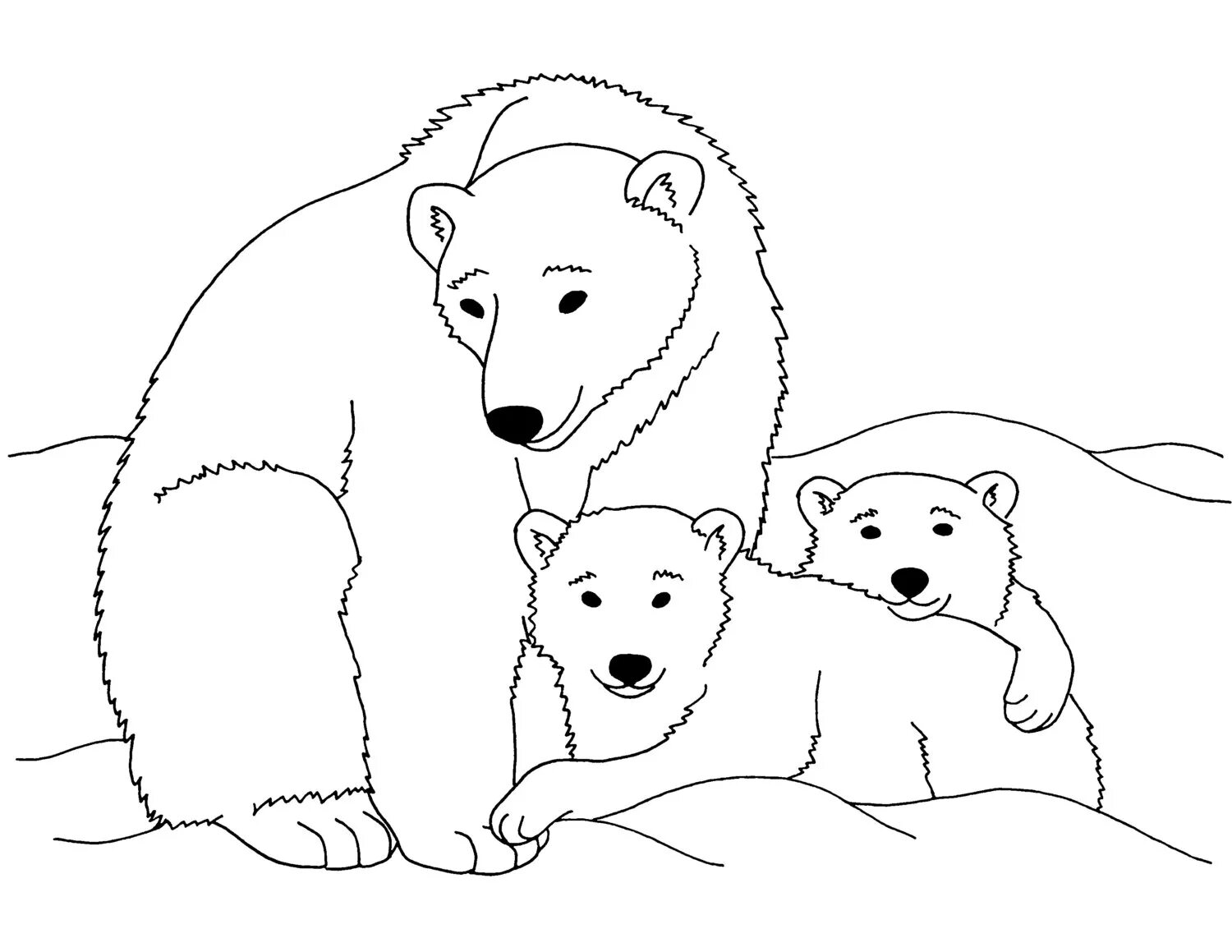 Белые картинки для детей. Белый медведь раскраска. Белый медведь раскраска для детей. Раскраска белый медведь с медвежонком. Белый мишка раскраска.