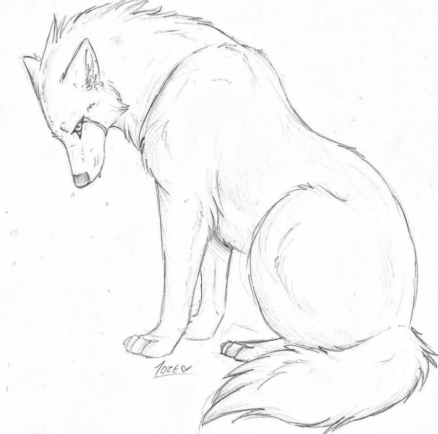 Рисунки карандашом животные. Рисунки для срисовки карандашом животные. Рисунок для срисовки легкий. Рисунок волка для срисовки. Как нарисовать любое животное