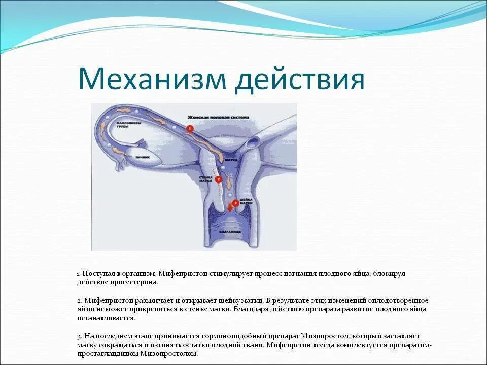 Беременность после мифепристона. Таблетки стимулирующие роды мифепристон. Медикаментозное прерывание мифепристон. Мифепристон для стимуляции родов. Мифепристон для стимуляции шейки матки.