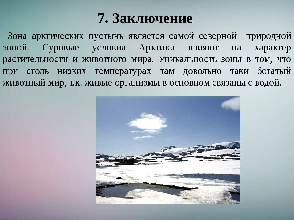 История полярный мир